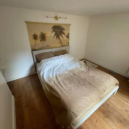 Le Petit Championnet T2